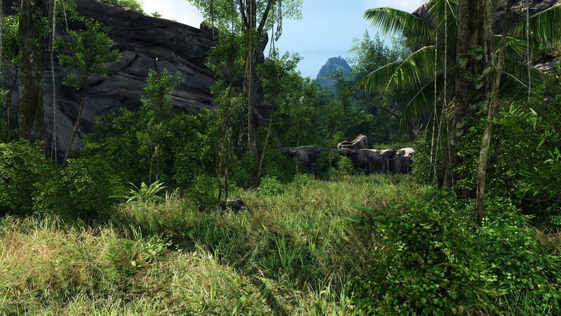jungle landscape with rocks