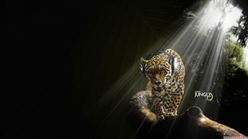 Jungle leopard with headphones