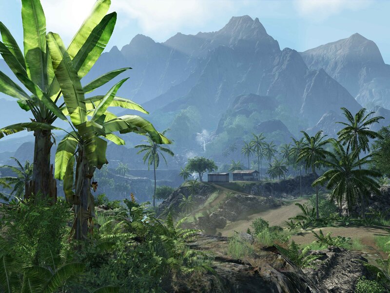jungle mountain landscape
