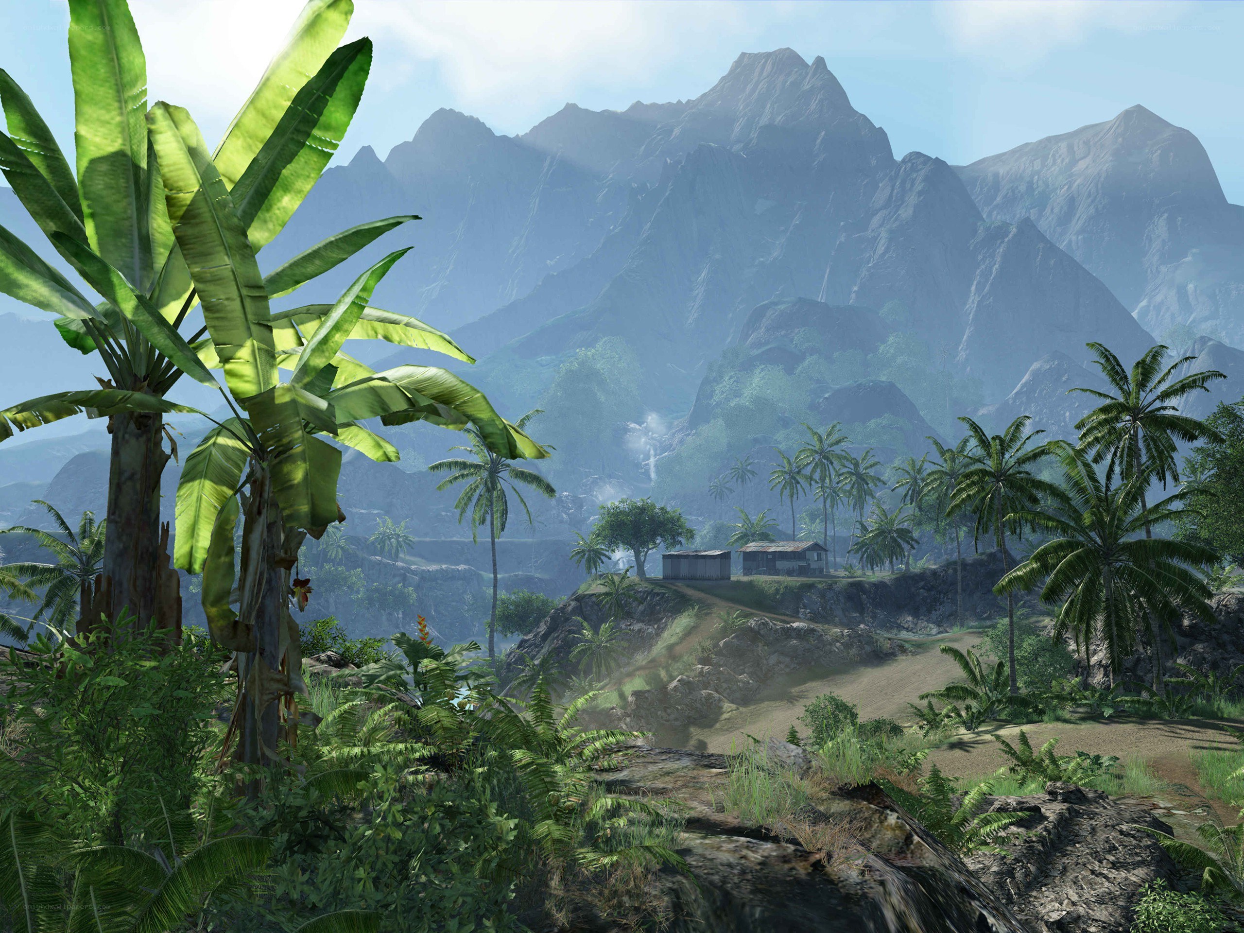 jungle mountain landscape