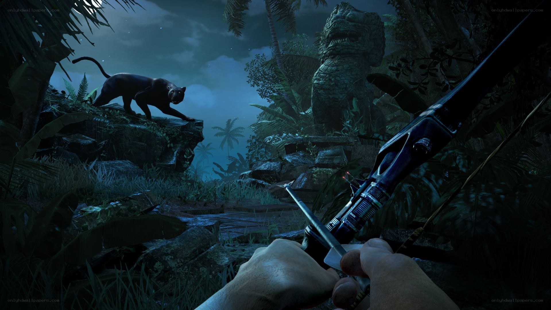 jungle night with panther