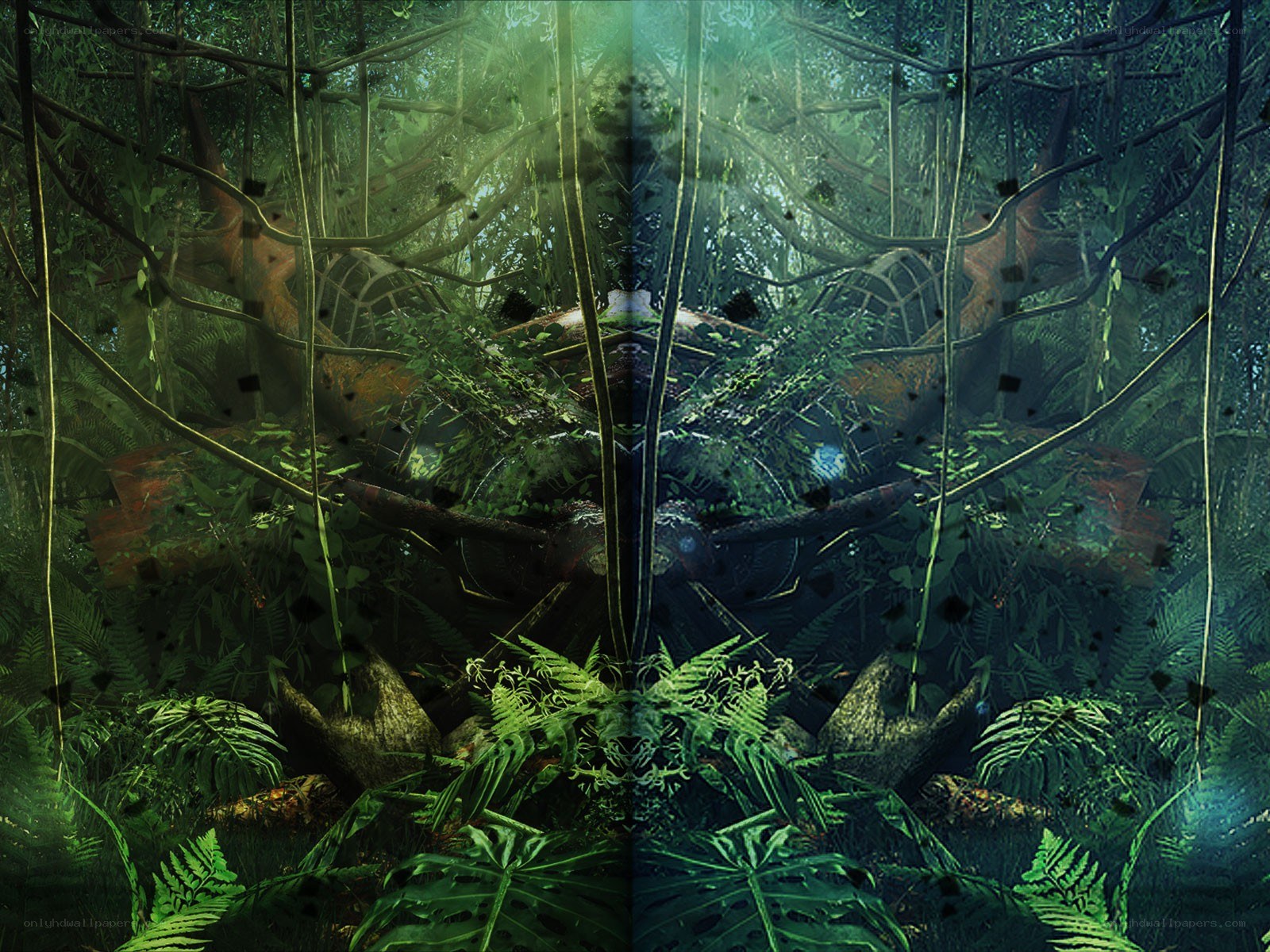 jungle overgrowth with wreckage