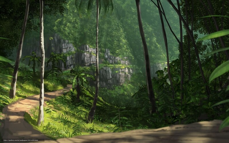Jungle path with cliffs