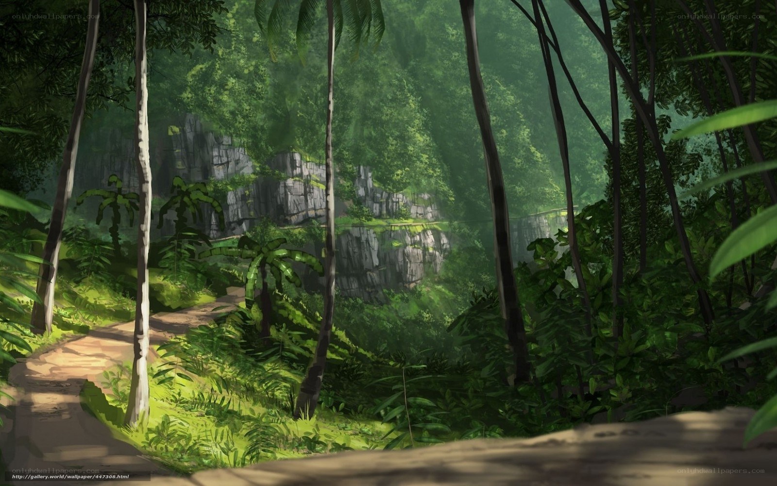 Jungle path with cliffs