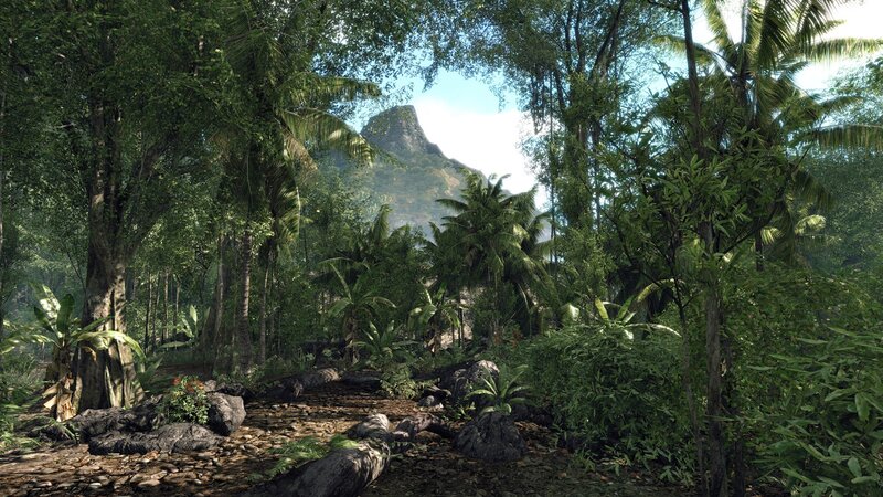 jungle path with mountain view