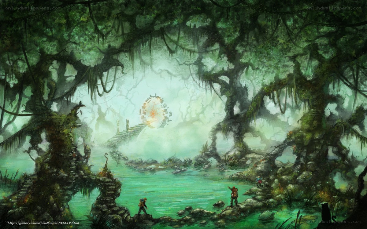 Jungle portal adventure