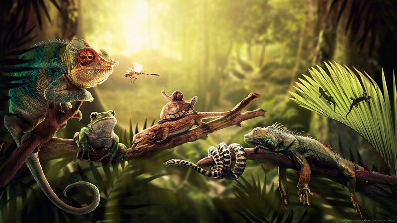 Jungle reptiles in sunlight
