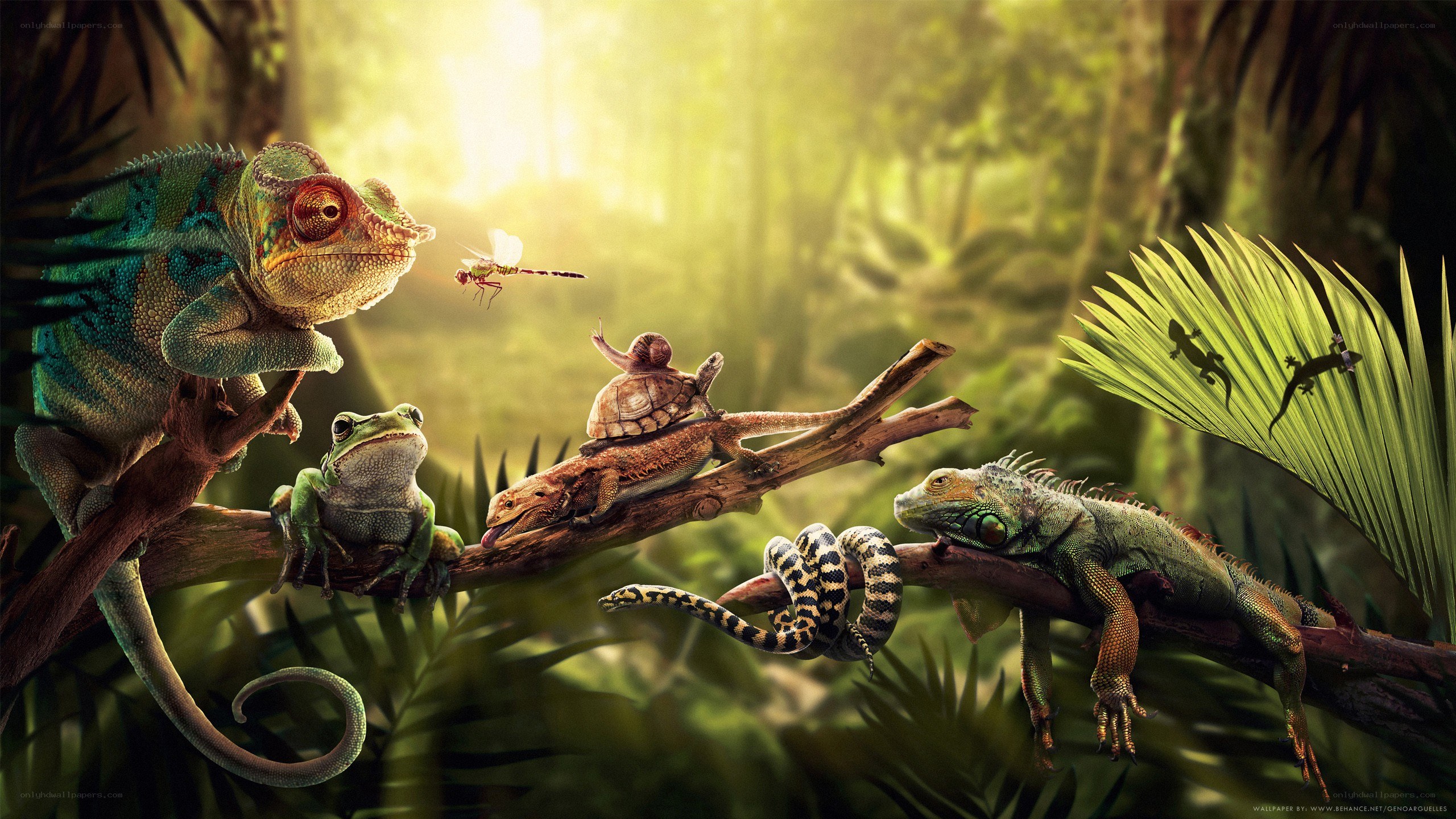 Jungle reptiles in sunlight