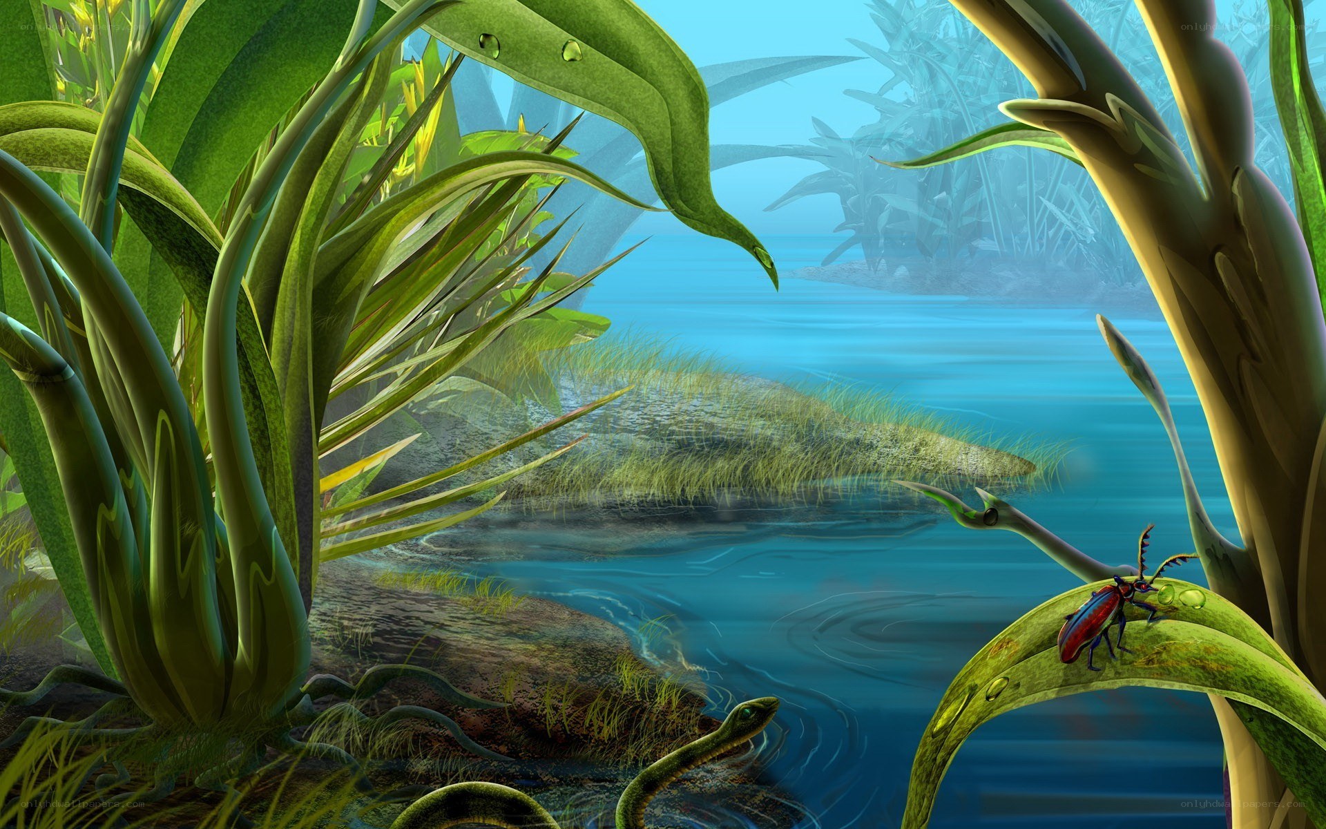 Jungle river scene with beetle