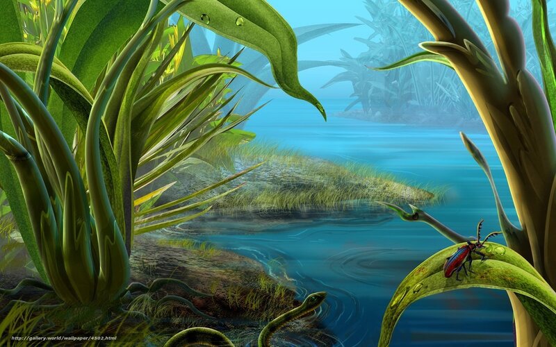 Jungle river scene with beetle