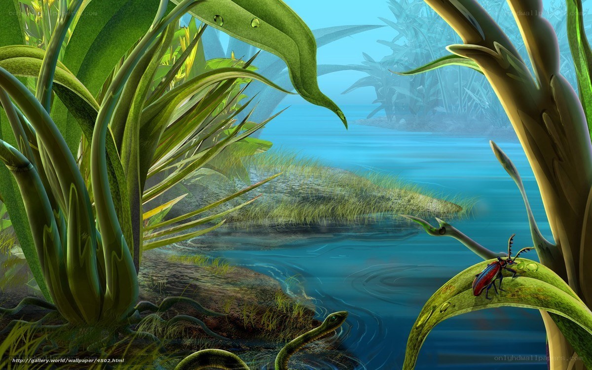 Jungle river scene with beetle
