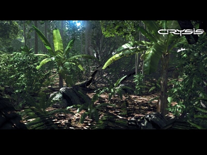 jungle scene from Crysis