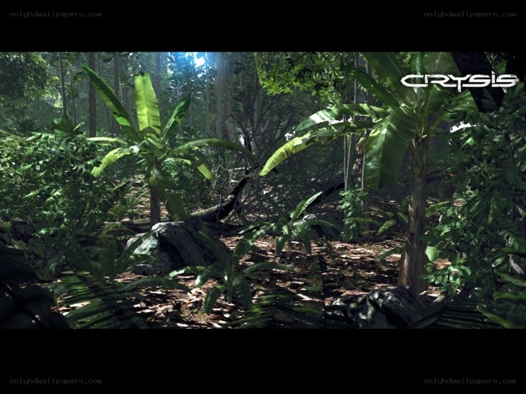 jungle scene from Crysis