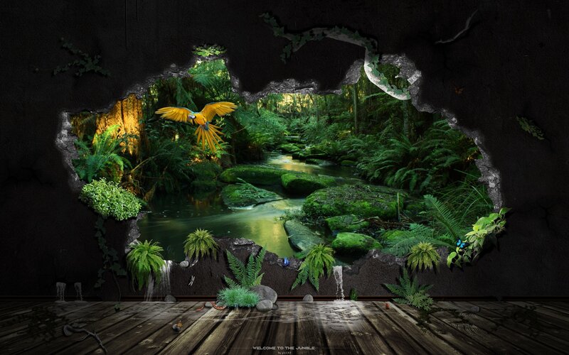 jungle scene through hole