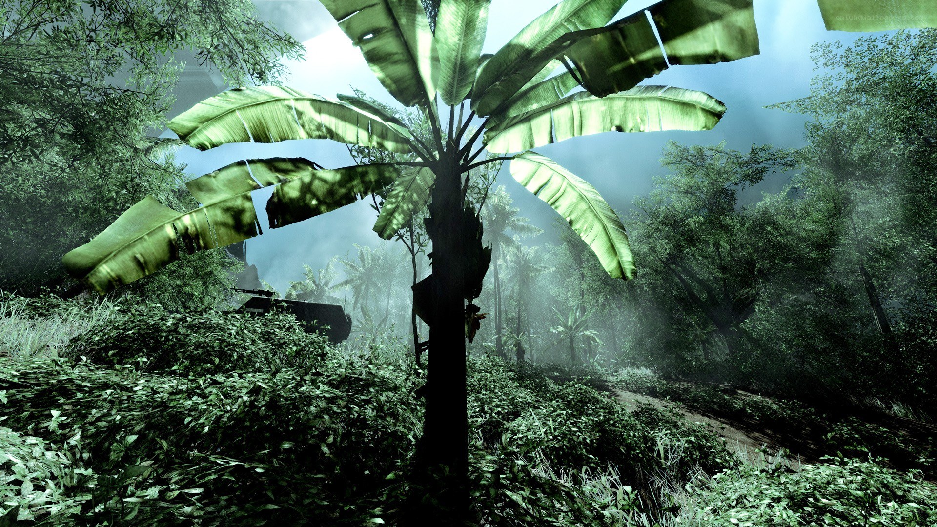 jungle scene with banana tree