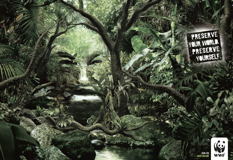 Jungle Stream with Waterfall