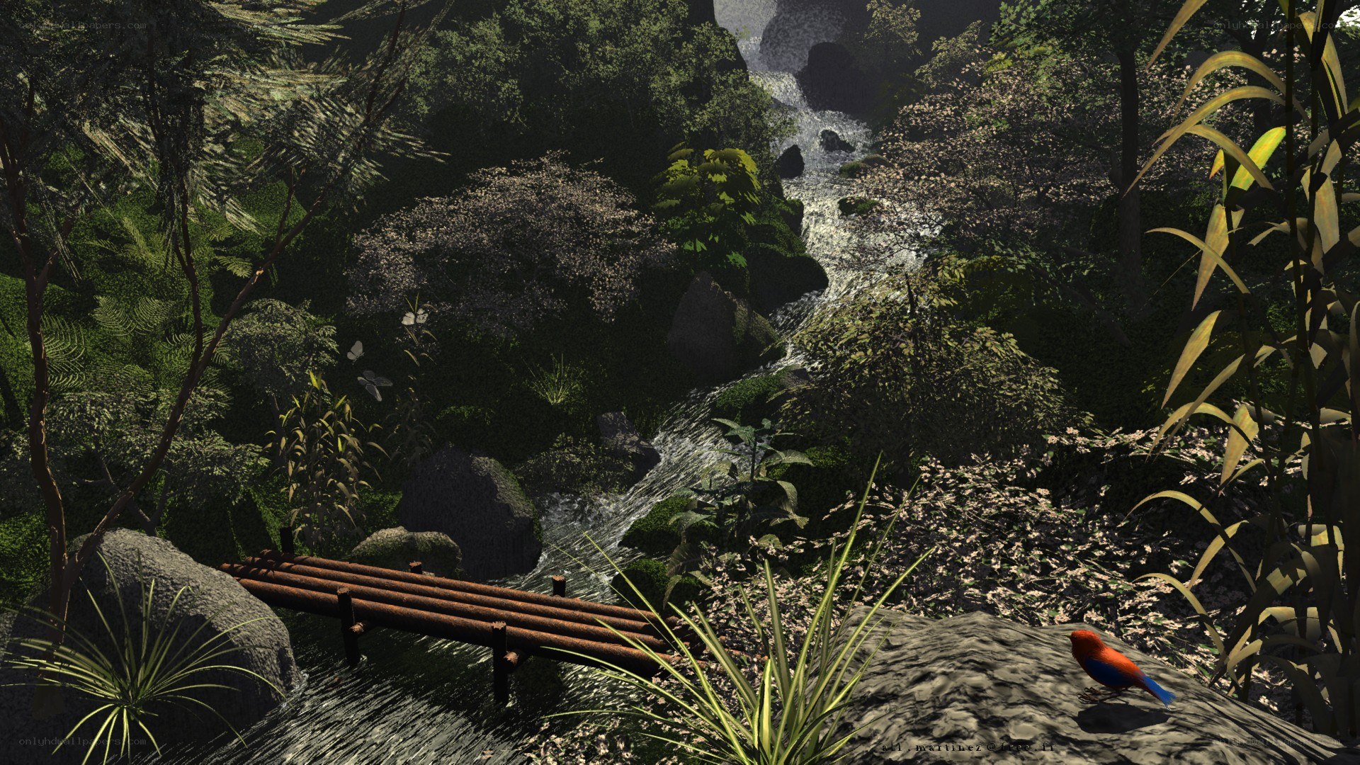 Jungle stream with wooden bridge