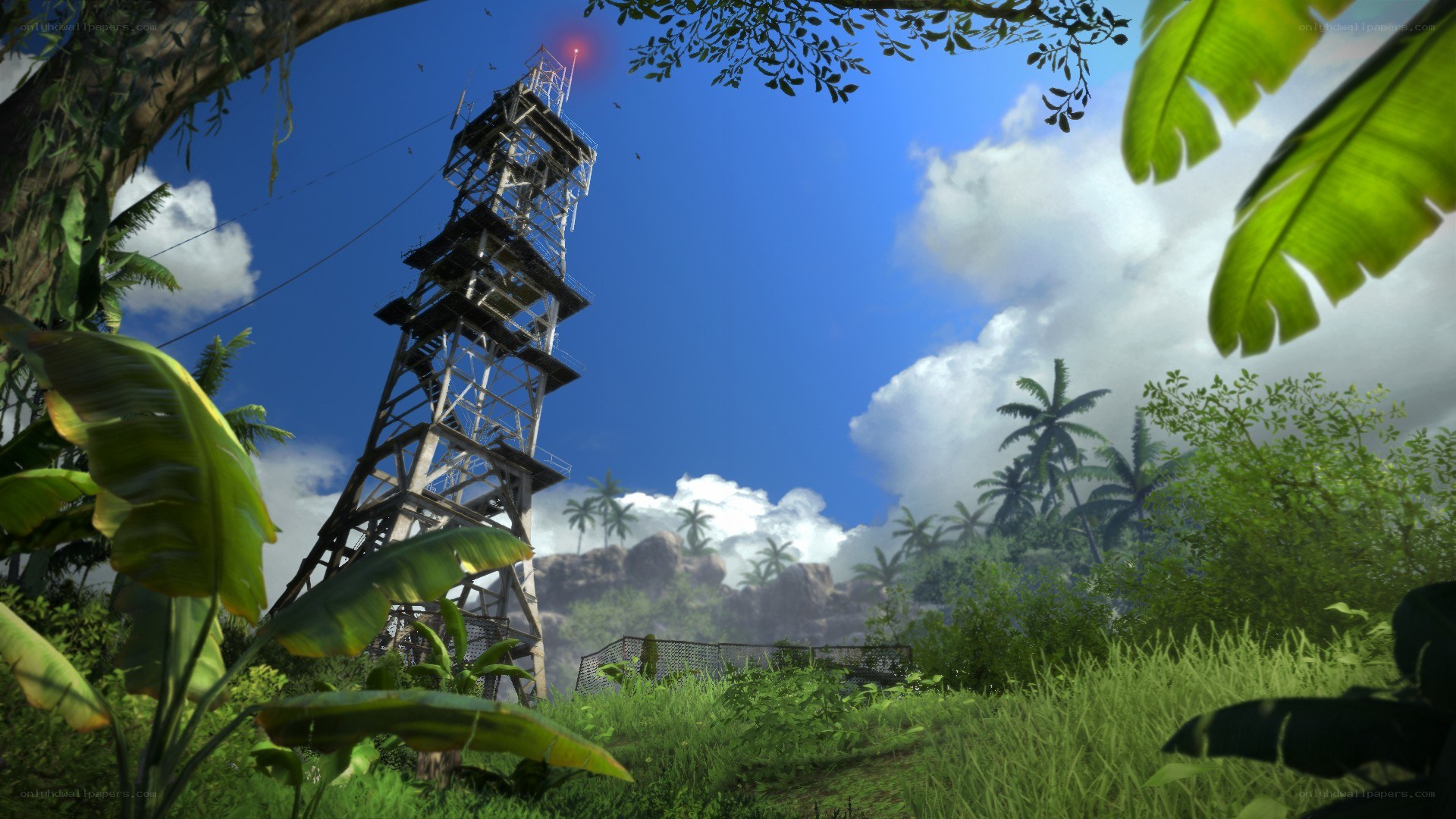 jungle tower under blue sky