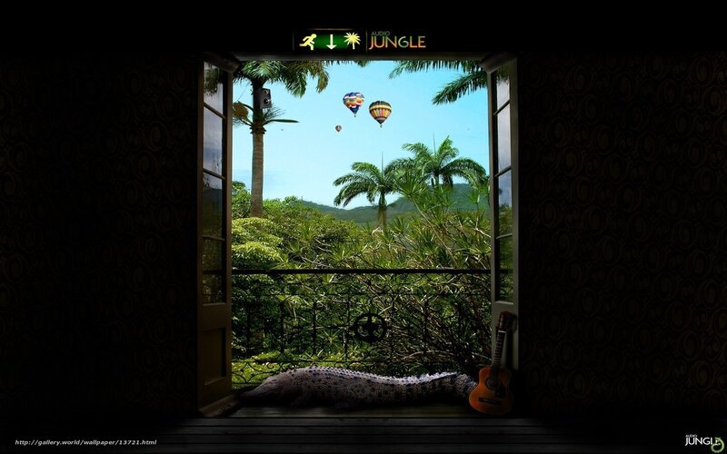Jungle view from window