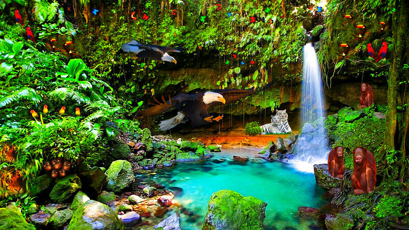 Jungle Waterfall Scene — Green, Lush