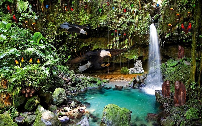 Jungle waterfall with animals