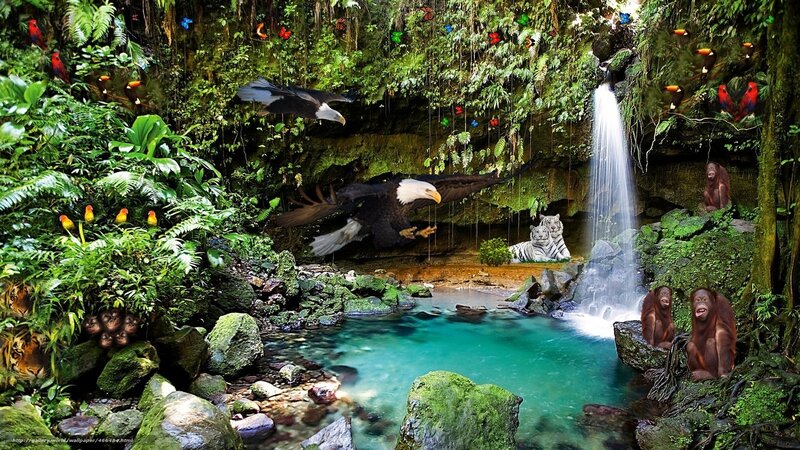 Jungle waterfall with animals