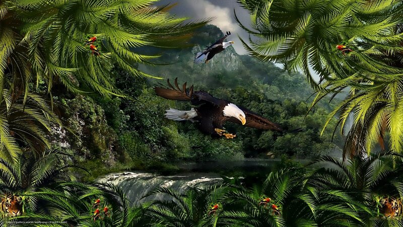 Jungle with eagles and tigers
