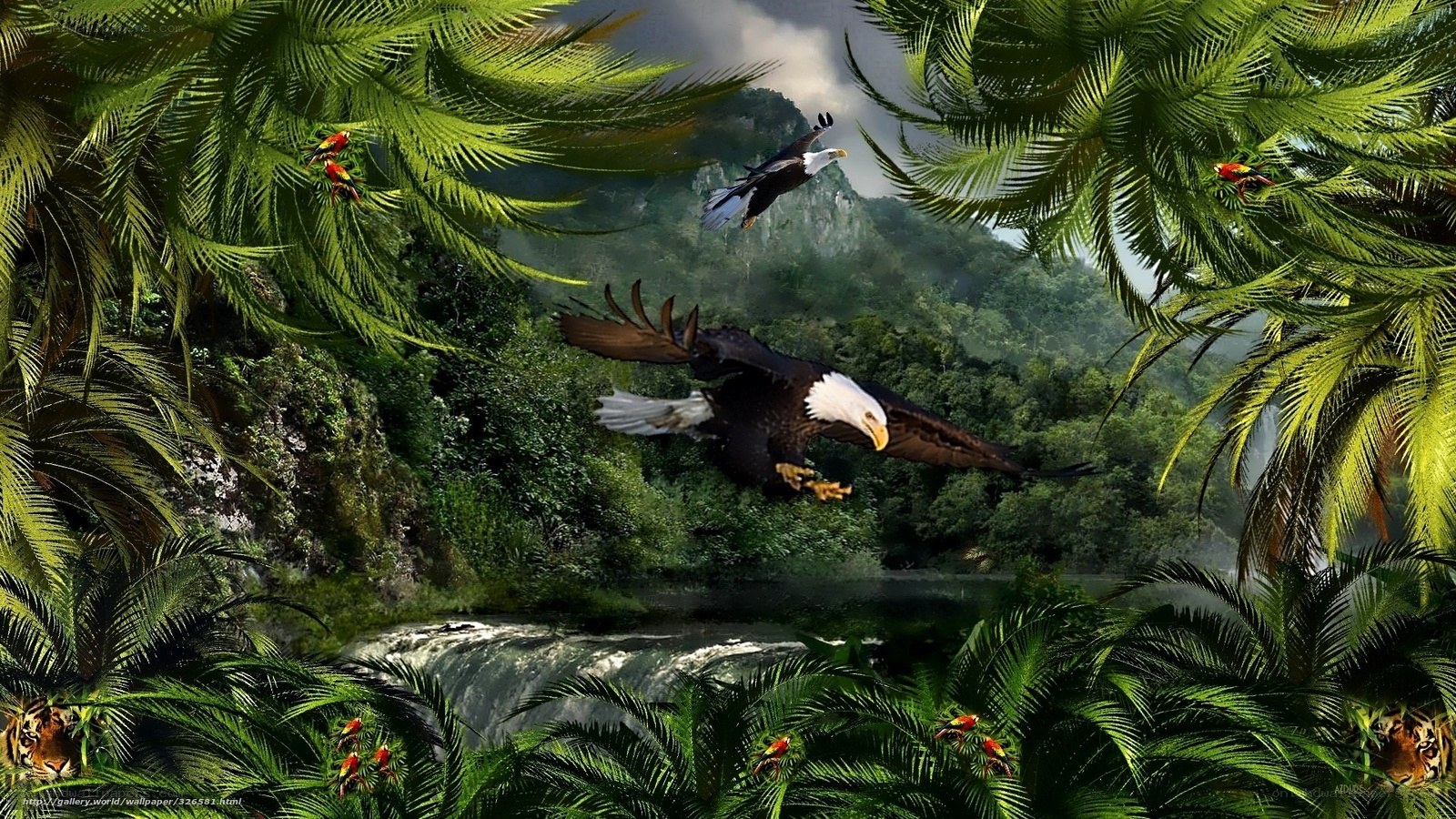 Jungle with eagles and tigers