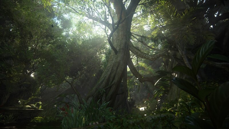 Jungle with Large Tree