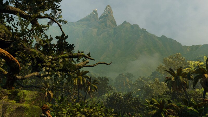 Jungle with Mountain