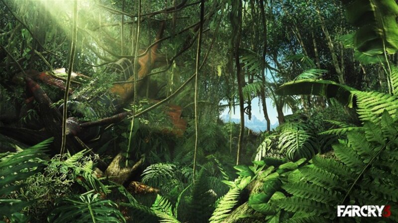 Jungle with Wreckage