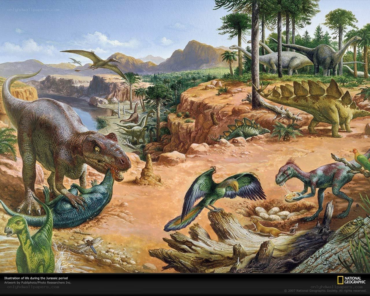 Jurassic period life illustration