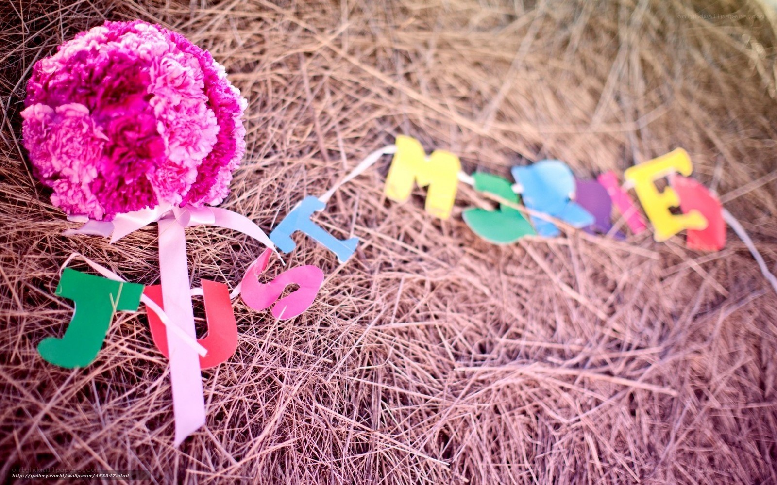 Just Married sign with flowers