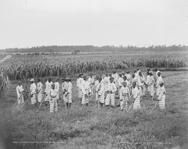 Juvenile convicts working in fields