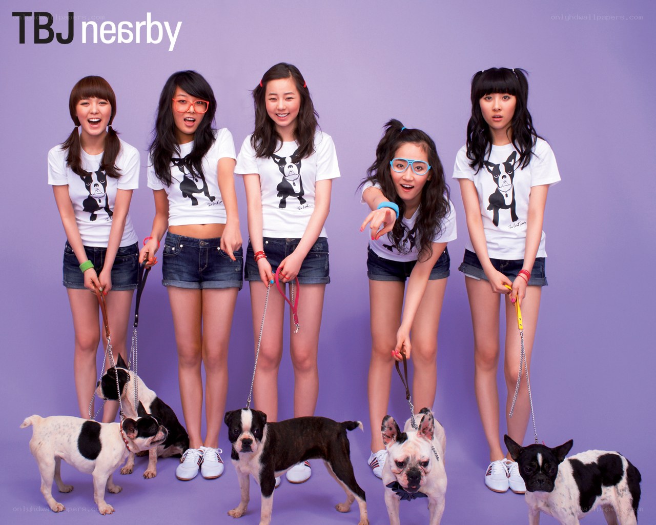 K-pop group with dogs