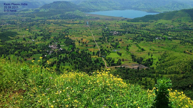 Kaas Plateau Landscape