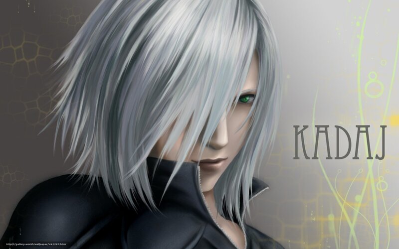 Kadaj character portrait