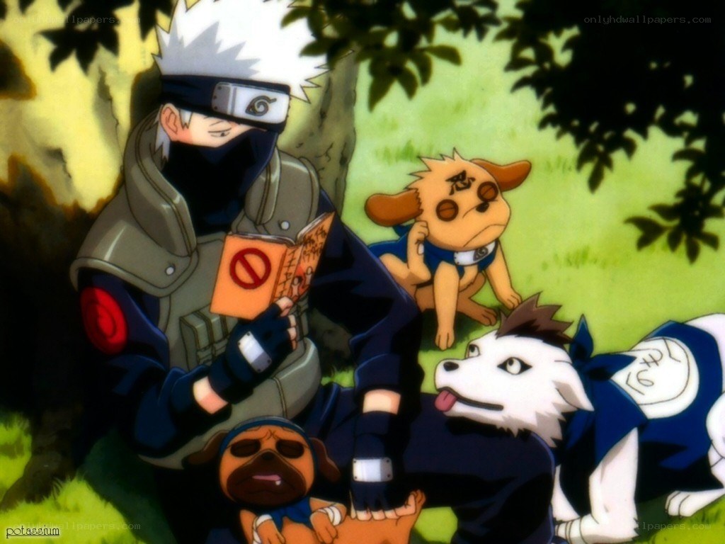 Kakashi reading with ninken