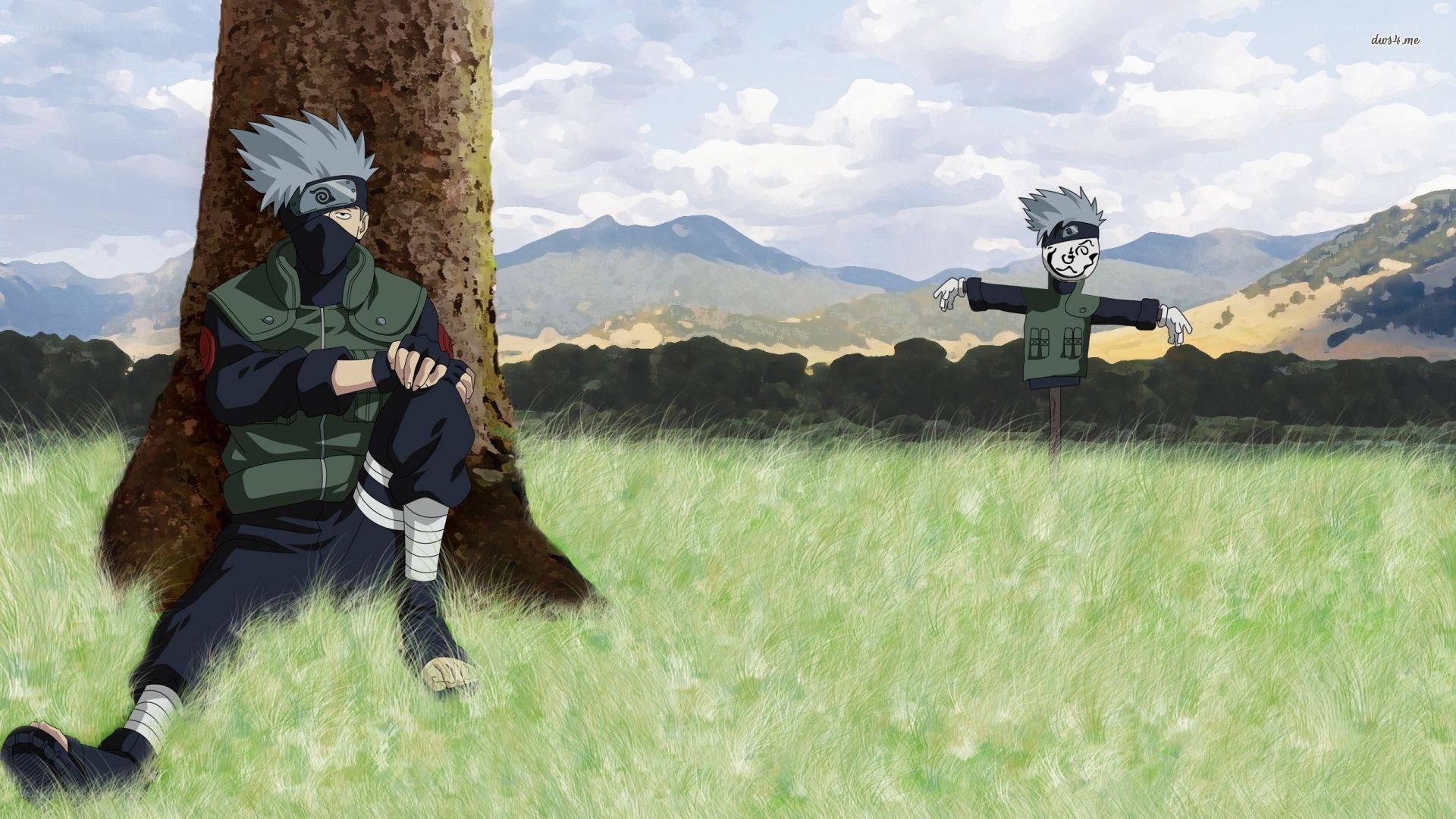 Kakashi resting in a field