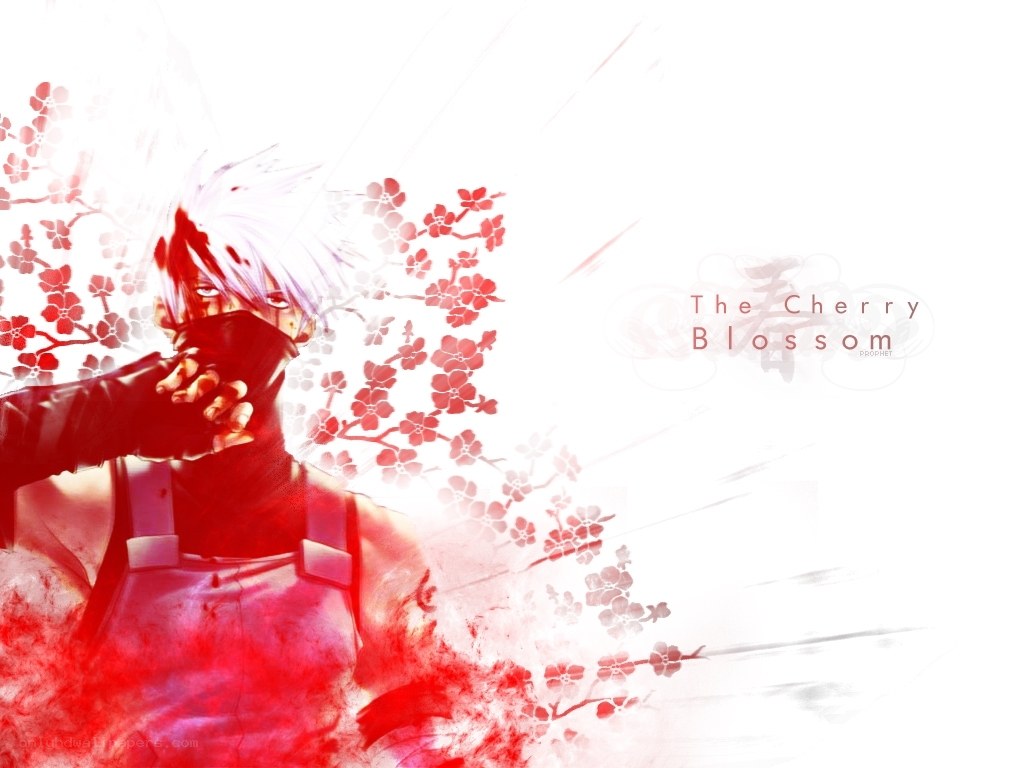 Kakashi with cherry blossoms