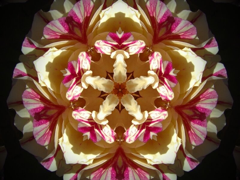Kaleidoscopic Flower Pattern — Yellow