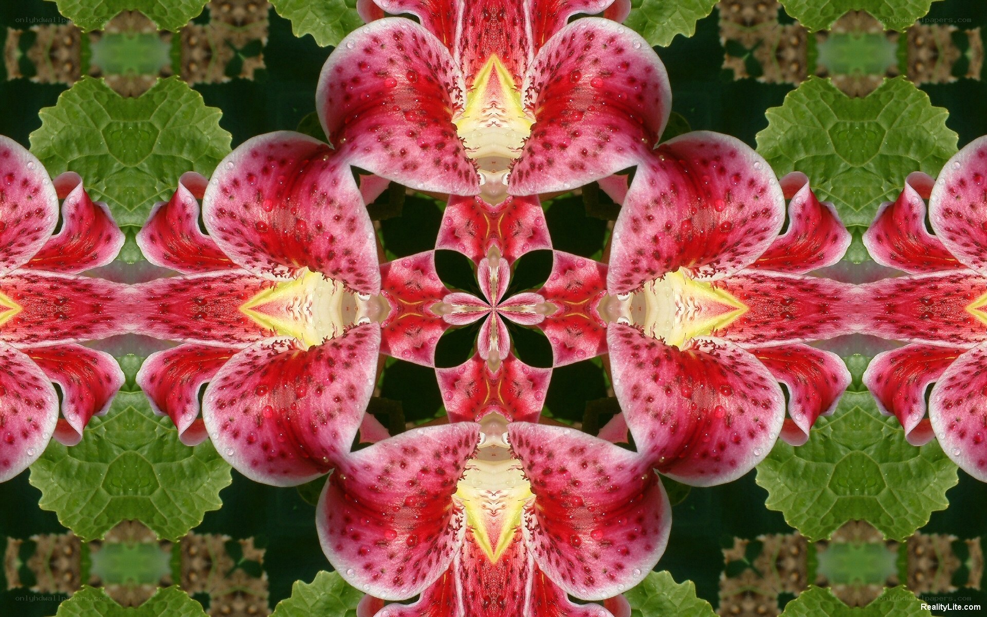 Kaleidoscopic flower pattern