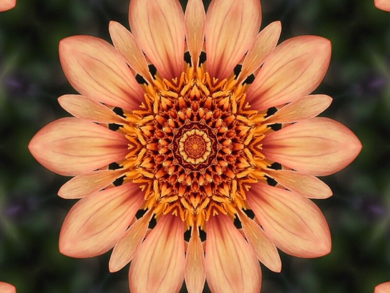 Kaleidoscopic Flower