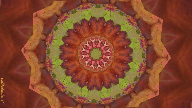 Kaleidoscopic Leaf Pattern — Red