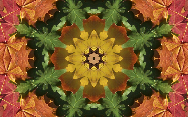 Kaleidoscopic Leaf Pattern