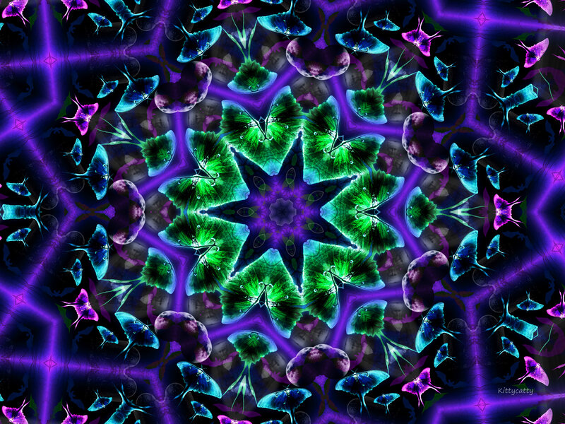 Kaleidoscopic Moth Pattern