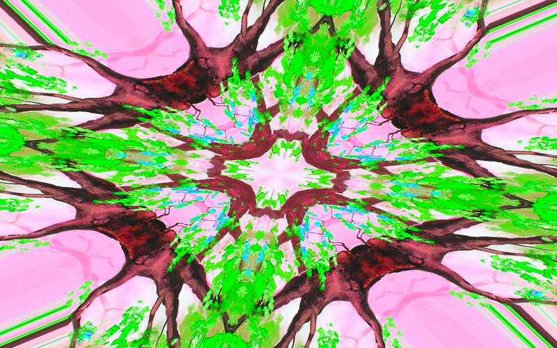 Kaleidoscopic Tree Branches