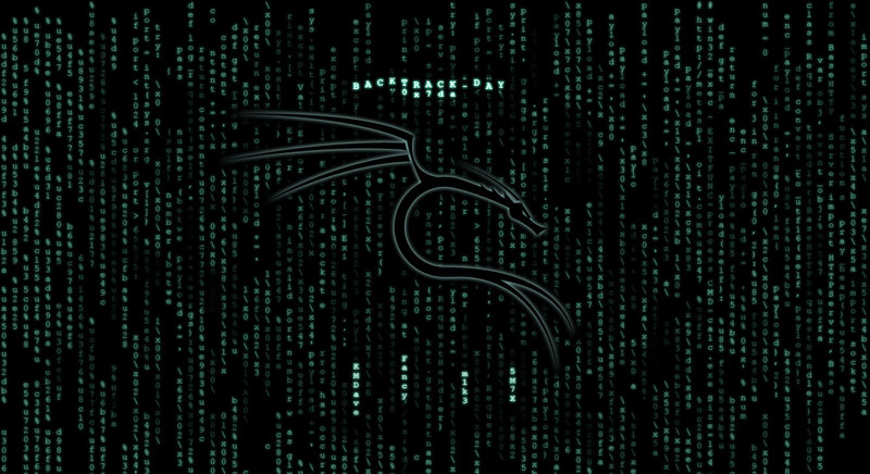 Kali Linux Logo — Black