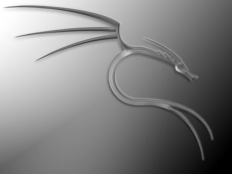 Kali Linux logo design