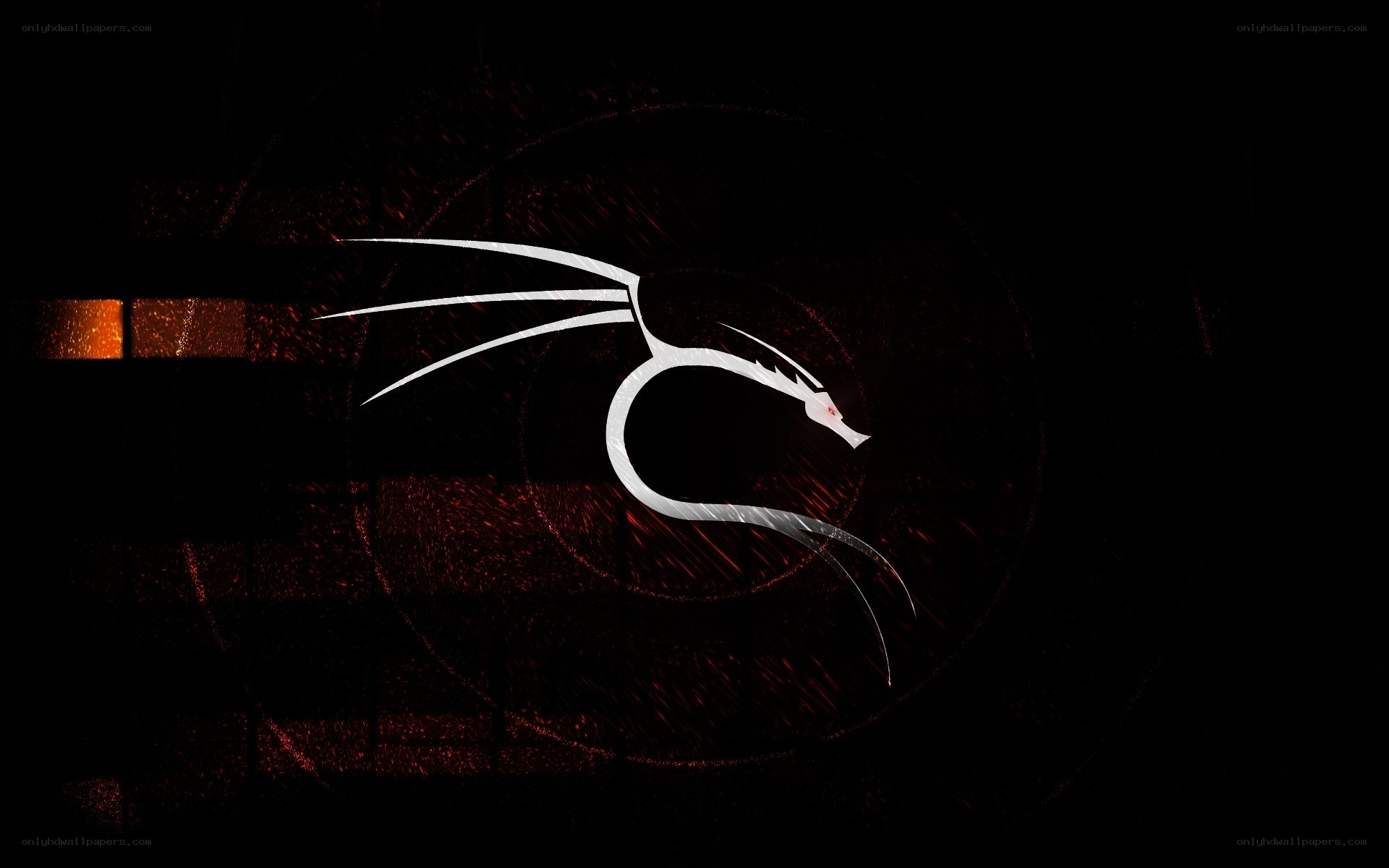 Kali Linux logo on dark background